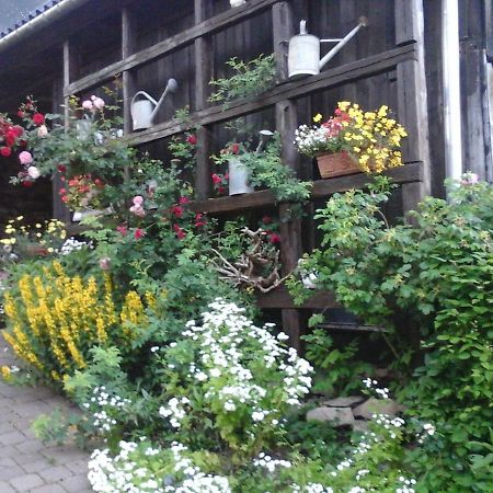 Apartamento Urlaub Auf Dem Bauernhof Augustusburg Exterior foto